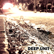 Deep Unit