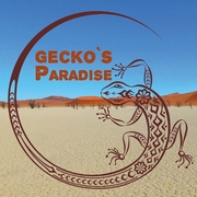Gecko's Paradise
