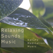 Relaxing Sounds Music