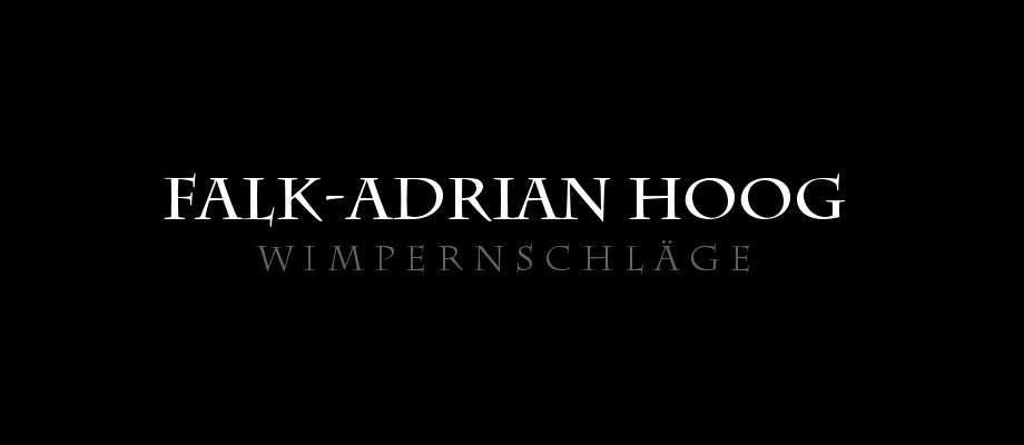 Falk-Adrian Hoog