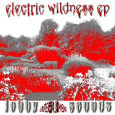 Electric Wildness EP