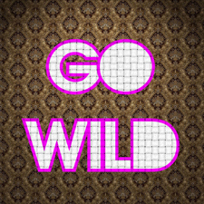 Go Wild (Club Mix)