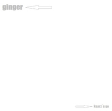 Ginger (Joan´s Sour Mix)
