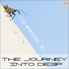 The Journey Into Deep