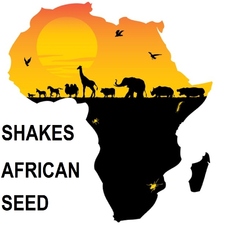 African Seed