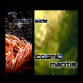 Cosmic Mantis - Space Glide