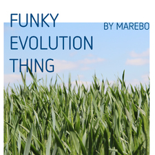 Funky Evolution Thing