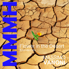 Flower in the Desert