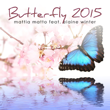 Butterfly 2015