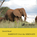 Read David - Barefoot Over the Serengeti