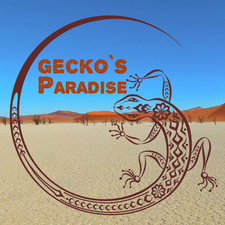 Gecko's Paradise