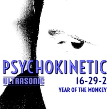 16-29-2 Year of the Monkey