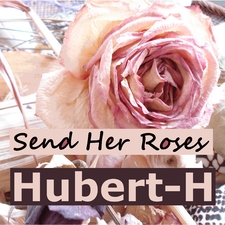 Send Her Roses