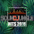 Various Artists - Soundjungle Hits 2018