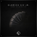 Oldrich Sic Jr. - Down to Detail