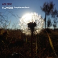 Adi Eric - Flowers (Energieberater Remix)