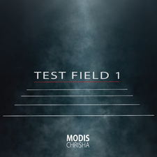 Test Field 1
