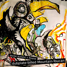 Dubplate-billed Mountain-Toucan