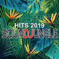 Various Artists - Soundjungle Hits 2019