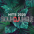 Various Artists - Soundjungle Hits 2020