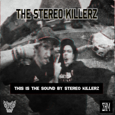 This Is the Sound by Stereo Killerz