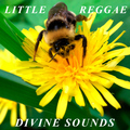 Divine Sounds - Little Reggae