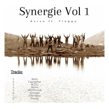 Synergie, Vol. 1