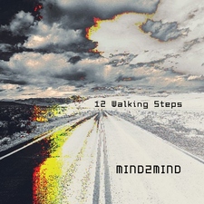 12 Walking Steps