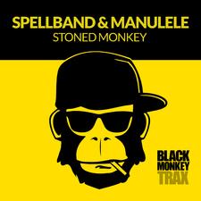 Stoned Monkey