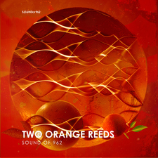 Two Orange Reeds