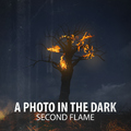 A Photo in the Dark - Second Flame