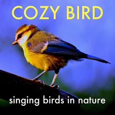 Singing Birds in Nature