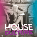 Various Artists - House Culture, Vol. 7