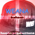 Hoedn Productions - Weana Bahoat (Radio Edit)