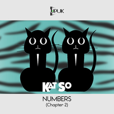 Numbers (Chapter 2)