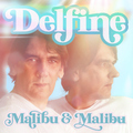 Malibu & Malibu - Delfine (Discofox Radio Edit)