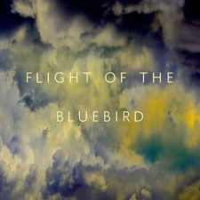 Flight of the Bluebird