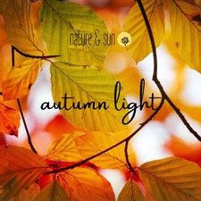 Autumn Light