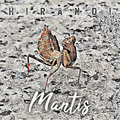 HIRANDI - Mantis