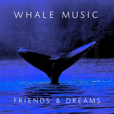 Whale Music - Friends and Dreams