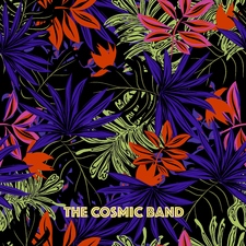 The Cosmic Band
