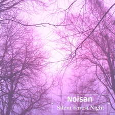 Silent Forest Night