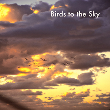 Birds to the Sky