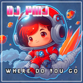 Dj Pmj - Where Do You Go