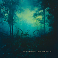Tranquilized Nebula
