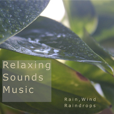 Relaxing Rain and Wind - One Hour Stress Release, Meditation and Sleep in High Quality