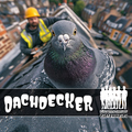 Künstlerkollektiv Pirschheidi - Dachdecker