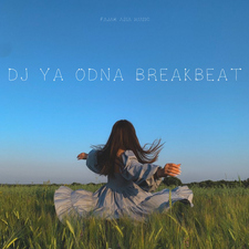 DJ Ya Odna Breakbeat