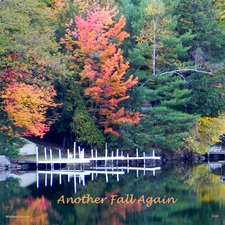 Another Fall Again