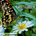 Projekt Sessellift - Caro's Garden